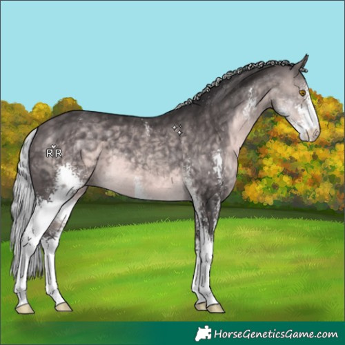 Horse Color:Platinum Silver Buckskin Sabino