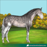 Horse Color:Platinum Silver Buckskin Sabino 