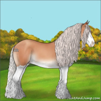 Horse Color:Silver Amber Champagne Splash