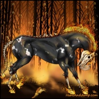 Horse Color:White Spotted Silver Black Chinchilla 