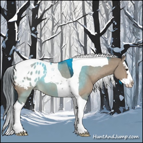 Horse Color:Brown Dun Sabino Splash Tobiano Blanket