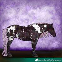 Horse Color:Watercolor White Spotted Midnight Silver Grullo Ice 