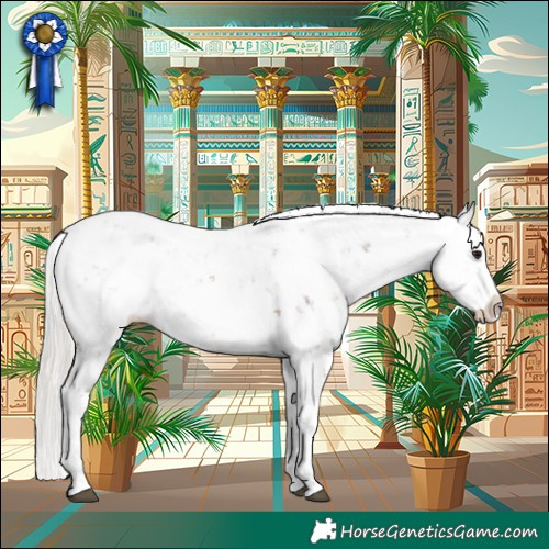 Horse Color:Silver Brown Ice Sabino Splash