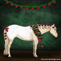 Horse Color:Palomino Dun Snowcap 