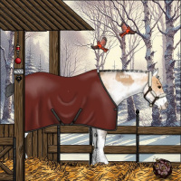 Horse Color:White Spotted Bay Dun Rabicano  and White Spotted Bay Dun Rabicano 