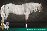 Horse Color:Liver Red Dun Roan Mushroom 