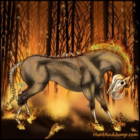 Horse Color:Void Buckskin Roan Dun 