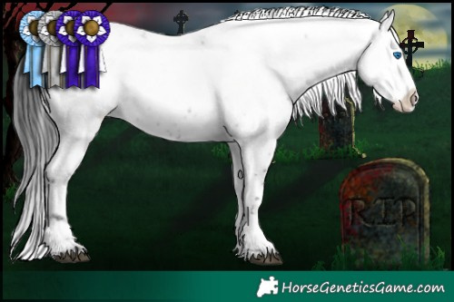 Horse Color:Blue Roan Frame