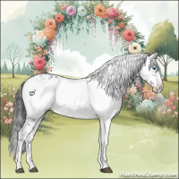 Horse Color:Black Frame