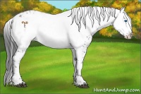 Horse Color:Black Frame 