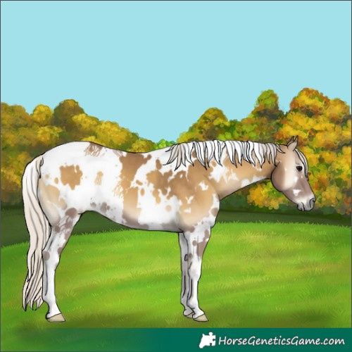 Horse Color:White Spotted Silver Smoky Blue Onyx 