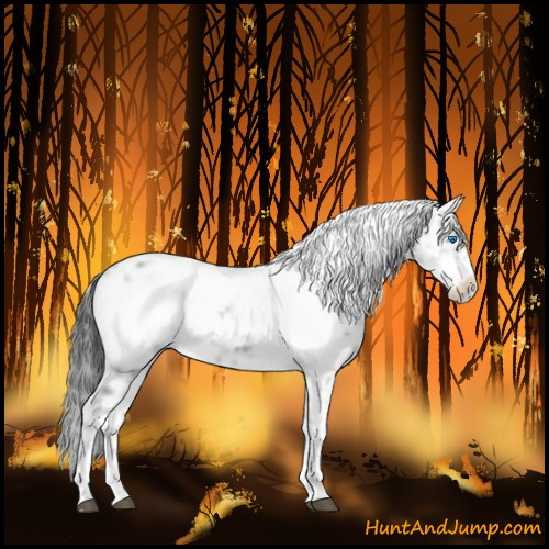 Horse Color:Black Frame 