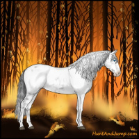 Horse Color:Black Frame 