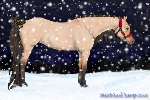Horse Color:Bay Roan Dun 