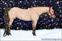 Horse Color:Bay Roan Dun 