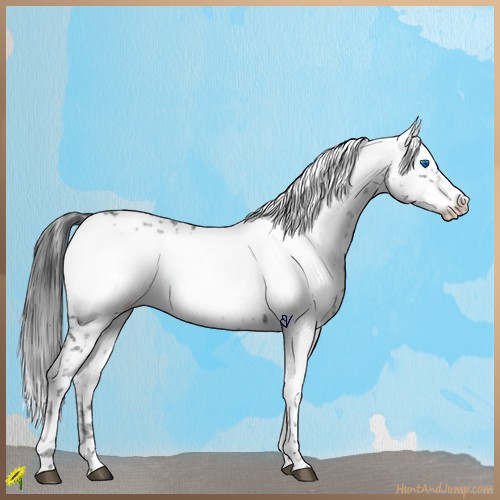 Horse Color:Black Frame 