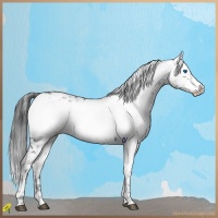 Horse Color:Black Frame 