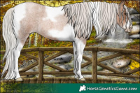 Horse Color:Silver Blue Roan Pearl Tobiano Frame 