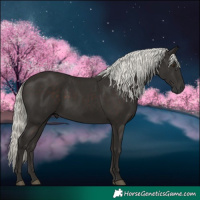 Horse Color:Liver Chestnut Mushroom 