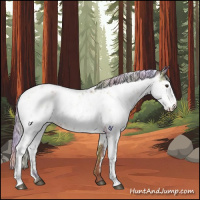 Horse Color:Nacre Silver Brown Dun Sabino Near Leopard 