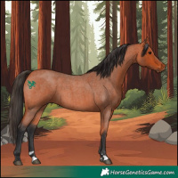 Horse Color:Bay Roan Sabino 