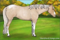 Horse Color:Silver Blue Roan Pearl Tobiano Frame 