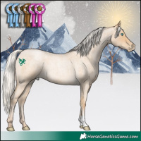 Horse Color:Silver Buckskin Roan Pearl 