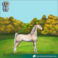 Horse Color:Silver Classic Champagne Dun Rabicano 