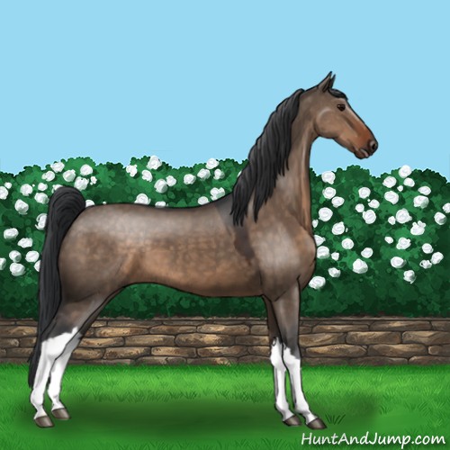 Horse Color:Brown Dun