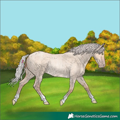 Horse Color:Chocolate Silver Amber Champagne Roan Dun Rabicano 