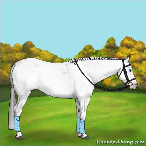 Horse Color:Liver Chestnut Frame 