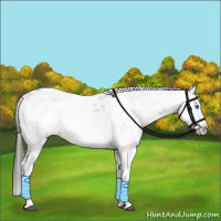 Horse Color:Liver Chestnut Frame 