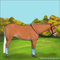 Horse Color:Silver Bay 