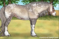 Horse Color:Silver Blue Onyx Ice Sabino 