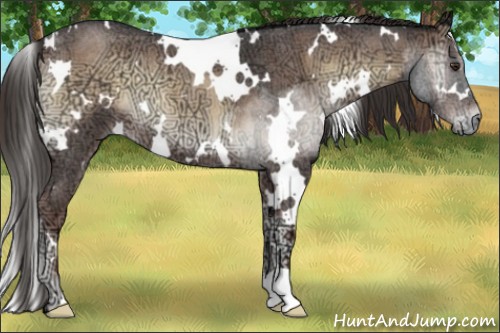 Horse Color:White Spotted Liver Red Onyx Ice Roan