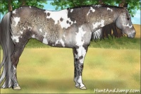 Horse Color:White Spotted Liver Red Onyx Ice Roan 