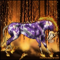 Horse Color:Watercolor White Spotted Silver Black Chinchilla Appaloosa