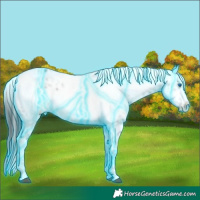 Horse Color:Thunderstruck Black Frame 