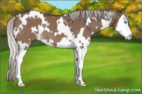 Horse Color:White Spotted Silver Brown Dun Splash 