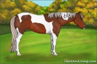 Horse Color:Silver Brown Tobiano 