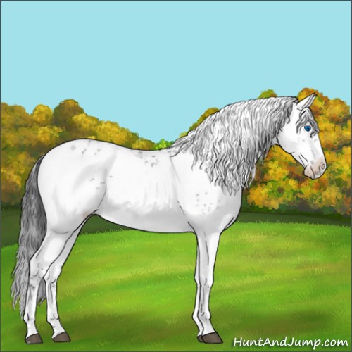 Horse Color:Black Frame