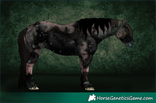 Horse Color:ERROR: UNKNOWN ANOMALY