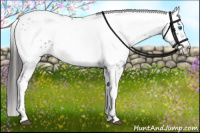 Horse Color:Liver Chestnut Frame 