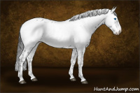 Horse Color:Black Frame 