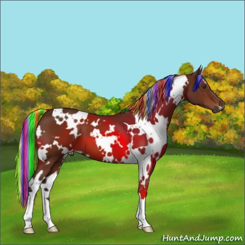 Horse Color:Painted White Spotted Silver Brown 