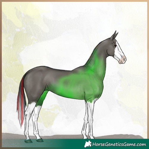 Horse Color:Painted Grullo Sabino Splash 