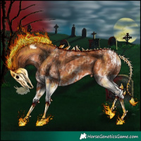 Horse Color:White Spotted Bay Splash  and White Spotted Bay Splash Tobiano 