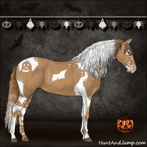 Horse Color:Chestnut Splash Tobiano 