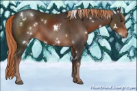 Horse Color:White Spotted Liver Chestnut Rabicano 