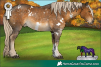 Horse Color:White Spotted Chocolate Palomino Sabino 